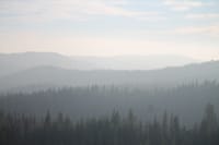 Mist-covered coniferous forests stretch across the foggy California mountains.