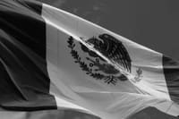 Dramatic black and white photo of the Mexican flag waving on a windy day.