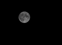 A detailed photograph of a full moon in the night sky, captured from Israel.