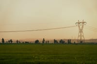 Vast green field with high-voltage power lines silhouetted against a dusk sky, capturing serene rural landscapes.