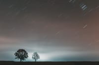 Long exposure photo capturing star trails over silhouetted trees at night