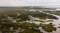 Scenic aerial view of lush wetlands at Moss Point, Mississippi, showcasing nature's intricate waterways.