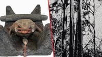 Francisco Toledo y Jan Hendrix: Exposición dedicada a sus trayectorias y relación imagen del post