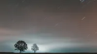 Long exposure photo capturing star trails over silhouetted trees at night