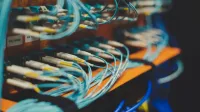 Closeup of many cables with blue wires plugged in modern switch with similar adapters on blurred background in modern studio