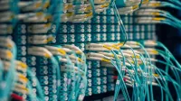 Closeup of rows of tiny round white electrical connectors and long thin blue wires in data center