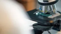 Detailed view of microscope slide setup, essential for biological research.