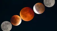 Capture of the moon's phases during a lunar eclipse against a dark night sky.