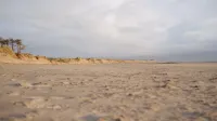 Empty beach landscape with sandy dunes and overcast skies, offering serene solitude.