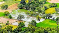 A stunning aerial view of lush farmlands and rice fields in An Giang, Vietnam.