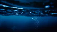 A serene underwater scene capturing air bubbles rising to the ocean's surface at night.