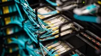 Numerous wires and cables mounted into server patch panel in modern data center