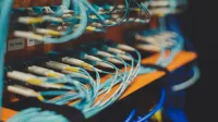 Closeup of many cables with blue wires plugged in modern switch with similar adapters on blurred background in modern studio