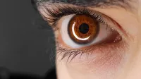Detailed close-up image of a human brown eye with emphasis on the iris and eyelashes.