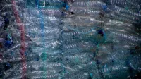 Plastic bottles tightly wrapped in netting for recycling, highlighting waste management.