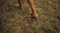 Close-up of bare feet walking on grassy ground, embodying a natural outdoor experience.