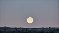 A captivating full moon rising over a barren landscape during dusk, creating a serene atmosphere.