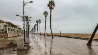 Paseo inundado con palmeras y playa bajo cielos nublados.