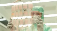 Scientist in protective gear holding a transparent test sheet in a laboratory.