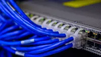 Detailed view of blue ethernet cables connected to a network switch in a data center.