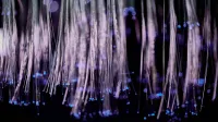 Close-up de luces de fibra óptica brillante con efecto bokeh púrpura y azul.