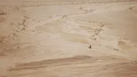 Una figura solitaria camina a través de un vasto paisaje desértico, enfatizando la soledad y la extensión de la naturaleza.