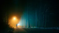 A lone figure walks through a foggy forest at night, illuminated by eerie lights.