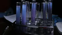 A vivid array of purple solutions in test tubes during a chemical experiment.