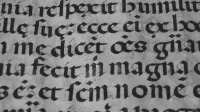 Detailed view of historical Gothic calligraphy on ancient parchment.