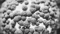 Detailed black and white macro image of antibodies showcasing intricate textures in microscopic science.
