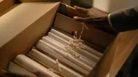 Hands organizing files in a box, symbolizing investigation and research.