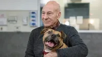 Imagen oficial de ASPCA