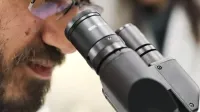 Primer plano de un científico examinando muestras usando un microscopio en un entorno de laboratorio.