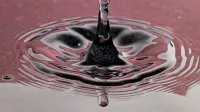 Cautivante salpicadura de gotas de agua creando ondas en una superficie rosa, mostrando la belleza de la dinámica de fluidos.