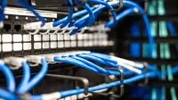 Cables de plástico azul con puntas blancas conectadas al servidor y proporcionan acceso a la información