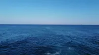 Una vista serena del vasto océano azul fusionándose con el cielo despejado en un día soleado.