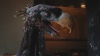 Vista detallada de una escultura de pájaro fósil exhibida en interiores en un museo de Viena.