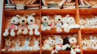 Estantes acogedores llenos de una adorable variedad de peluches y libros, perfectos para una decoración de habitación juguetona.