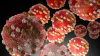 sarampión bajo un microscopio