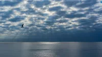 Un tranquilo paisaje marino con rayos de sol que penetran a través de las nubes sobre un océano tranquilo.
