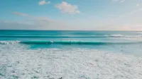 Una vibrante escena de surfistas capturando olas en una soleada playa costera con cielos despejados.