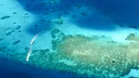 Impresionante vista aérea que muestra aguas turquesas y formaciones coralinas en las Maldivas.