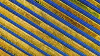 Disparo aéreo vibrante de paneles solares en un campo, mostrando energía renovable en Red Wing, MN.