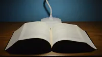 High angle of opened textbook placed on wooden table under artificial light of white lamp against blue wall
