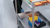 Un primer plano de viales de muestras de sangre organizados en un entorno de laboratorio.