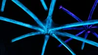 Estructuras brillantes y brillantes en forma de estrella con tentáculos luminiscentes contra un fondo oscuro.