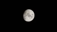 Una captura detallada de la luna llena contra un cielo negro descarnado, ideal para los entusiastas de la astronomía.
