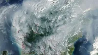 Espesas columnas grises de humo de gran cantidad de fuegos esparcidos por la isla de Borneo.