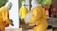 Professionals in yellow PPE suits attending to a procedure outdoors for safety training.