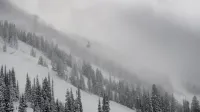 Snowbird Ski and Summer Resort, Sandy, United States
